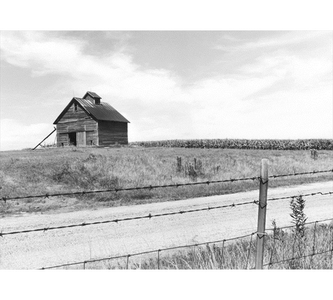 Old Barn - Illinois Farmland