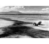 Lake Chapala, circa 2002